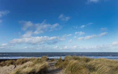 coast, north sea, beach, clouds, callantsoog, netherlands, dunes, 