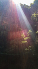 When you travel by road from Tehran to the north of Iran, i.e. the city of Chalus, you come across this beautiful road with full of energy. 