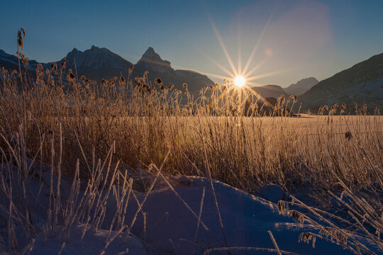Sonnenaufgang &uuml;ber dem verschneiten Talkessel Schwyz mit dem zugefrorenen Lauerzersee und dem Schilffg&uuml;rtel.