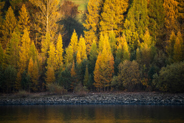 Scenic autumn background