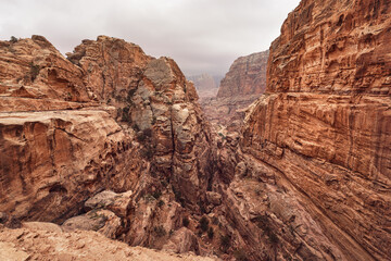 Typical landscape at Petra, Jordan, rocky walls around narrow canyon, few small bushes growing in red dusty ground