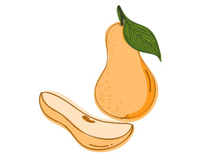 Set whole fresh yellow pear and slice. Vector illustration