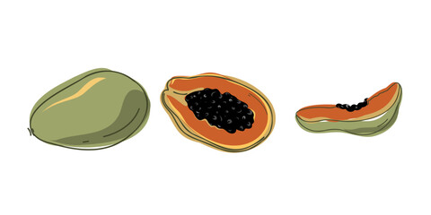 Set whole fresh papaya and slice. Vector illustration