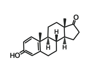 Structural chemical formula of estrone