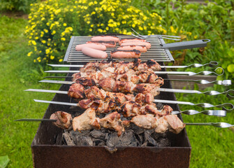 pieces of meat on a ramrod are fried on the grill,