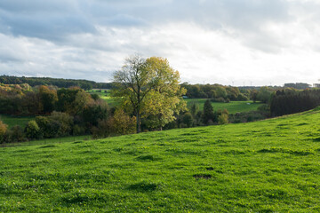 Herbstlandschaft