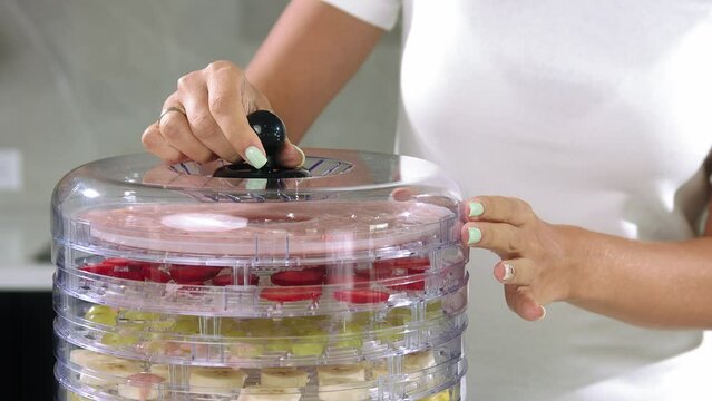 Fruit puree in dehydrator, Fruit puree and fruit in dehydrator, girl closes the lid of the dehydrator