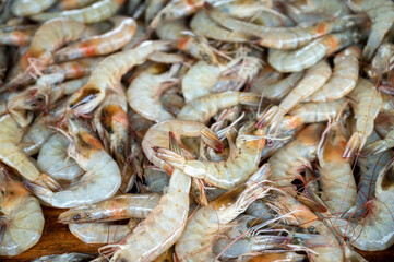 Fresh uncooked tiger prawns at Asian fishmarket