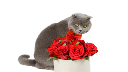 a grey cat with red flowers and a bow tie