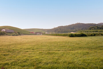 Fototapeta na wymiar View of beautiful agricultural fields with blue sky in in Durbach, Germany, black forest area, near Baden-Baden, HDR