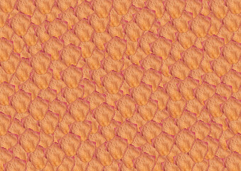 Dried rose petal orange, red and yellow in a full page pattern