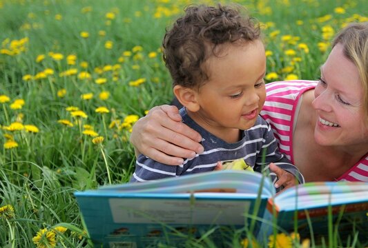 mother with son reading book in the garden with dandelion flower background with people stock photo