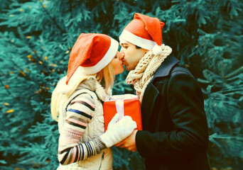 Winter portrait of happy young couple kissing in santa red hats, man giving a gift box to his beloved woman outdoors on christmas tree background