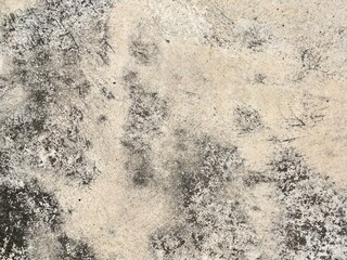 Obraz premium concrete wall texture