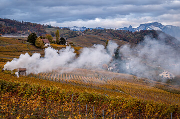 Plant branches burning in the fire. Lavaux vineyard, mountain and Lake Geneva with smoke in autumn.