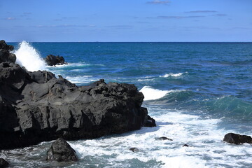 제주도 앞바다의 시원하게 부서지는 파도