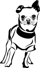 Black and White Cartoon Illustration Vector of a Chihuahua Puppy Standing Up