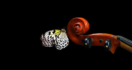 violin fretboard. melody concept. bright tropical butterfly on violin neck isolated on black. music...