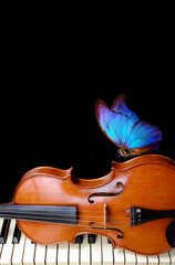 a violin on the piano keys and a bright blue morpho butterfly. music concept.