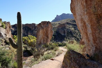 Saguaros and big rocks, along Queen Creek. 