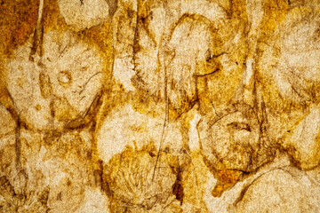 parchment paper with mushrooms spots