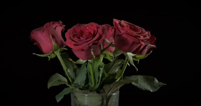 Glass with red roses. A nice glass vase with fresh rose flowers in it on the table on the black background.