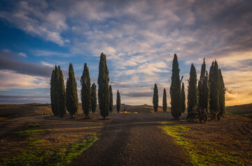 Fototapeta premium Countryside road with cypresses on sunrise. Typical landscape in Tuscany, Italy. October 2022