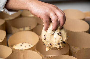 Artisan italian baker putting panettone christmas cake dough into molds. High quality photography.