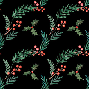 Seamless winter botanical pattern on black background. Watercolor hand-drawn branches of christmas tree and holly berry.