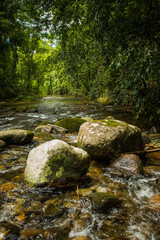 Fototapeta na wymiar Preserved river with clear and clean waters, running through the tropical forest, with rocks in the foreground and tall trees in the background, colors green, brown and black
