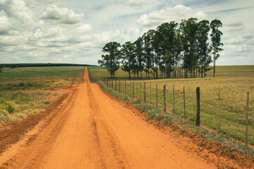 Fototapeta na wymiar Red and orange dirt road, crossing a farm with pastures and a forest of tall trees on the right, on a cloudy day and in pastel tones, green, orange, red and blue colors.