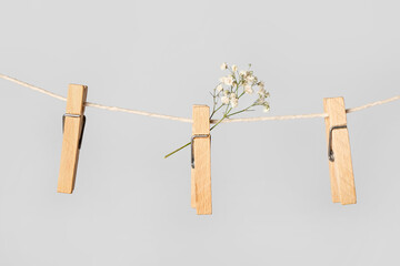Clothespins with gypsophila flower hanging on rope against grey background