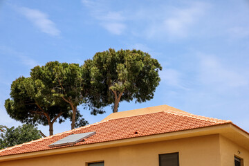 View of modern house with green pines