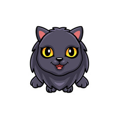 Cute highland fold cat cartoon flying