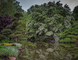 Magnificent scenery at Gibbs Gardens, Ball Ground, Georgia