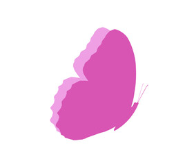 Pink butterfly flapping wings to fly away.