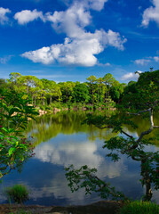 A walk in the park is a great way to get some fresh air, enjoy nature, and refresh your mind, If you&rsquo;ve ever wanted to take a walk in the park, but can&rsquo;t find the time, then this is for you.