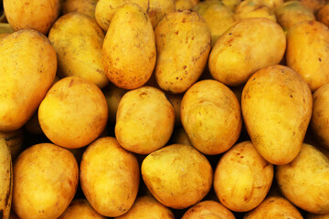 Pile of delicious ripe yellow mangoes, closeup