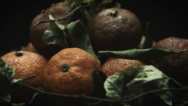Ageing Process of Decaying Rotten Oranges, Slowly Rotating on Dark Background, Still Life