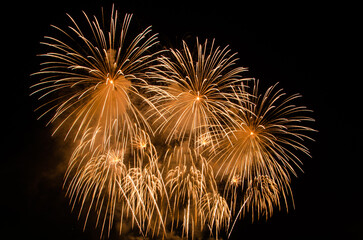 Fireworks show. New year's eve fireworks celebration.