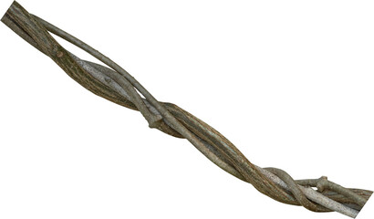 Twisted dried Liana jungle vine.
