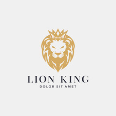 Lion Logo Premium Design Collection. Vector Illustration
