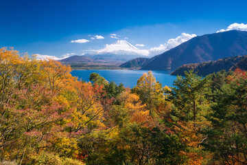 紅葉の本栖湖と冠雪した富士山