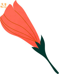 Watercolor flower vector