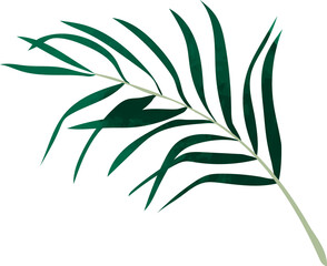 Watercolor leaf vector