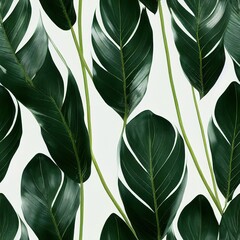 Green tropical palm leaves Monstera isolated on a white background seamless texture pattern wallpaper. Flat lay, top view.