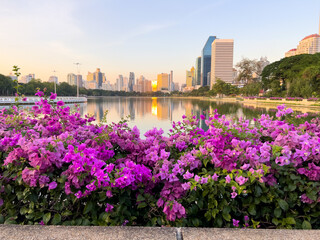city skyline with flowers in Bangkok Thailand