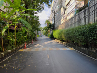bicycle lane in the city - Bangkok  Thailand 