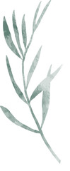 Watercolor leaf branch illustration