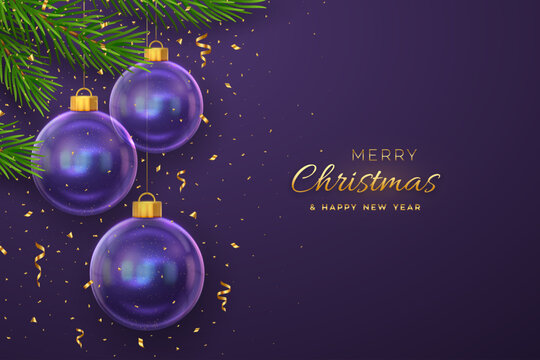 Merry christmas greeting card or banner. Hanging transparent glass balls, pine branches on purple background with golden falling confetti. New Year 3d design. Holiday Xmas baubles. Vector illustration